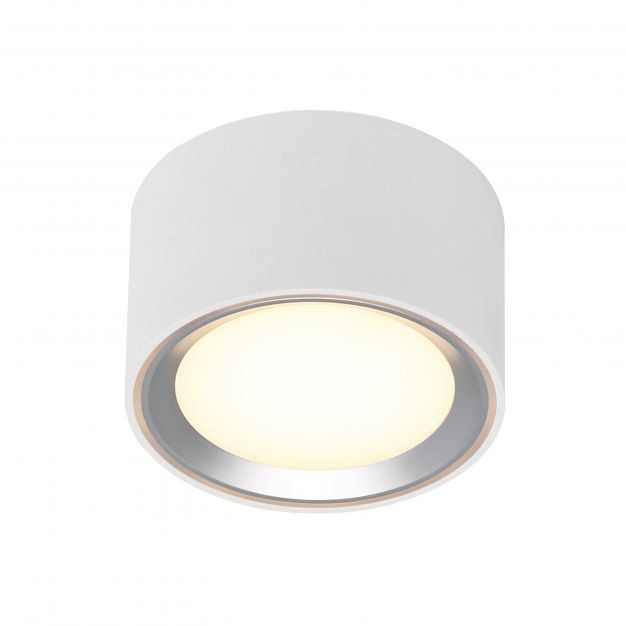 Nordlux Fallon - opbouwspot 1L - Ø 10 cm - 4 stappen Moodmaker functie - 5,5W dimbare LED incl. - wit en geborsteld staal