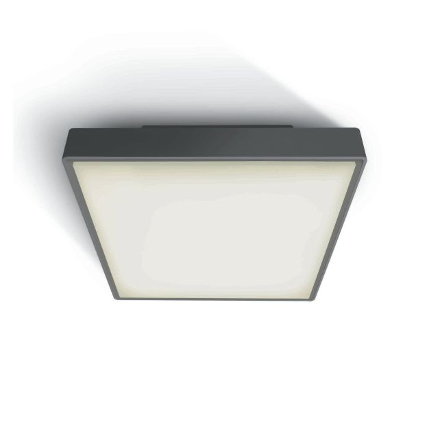 ONE Light E27 Plafo Outdoor Square - buiten plafondverlichting - 22,1 x 22,1 x 9,3 cm - IP65 - antraciet